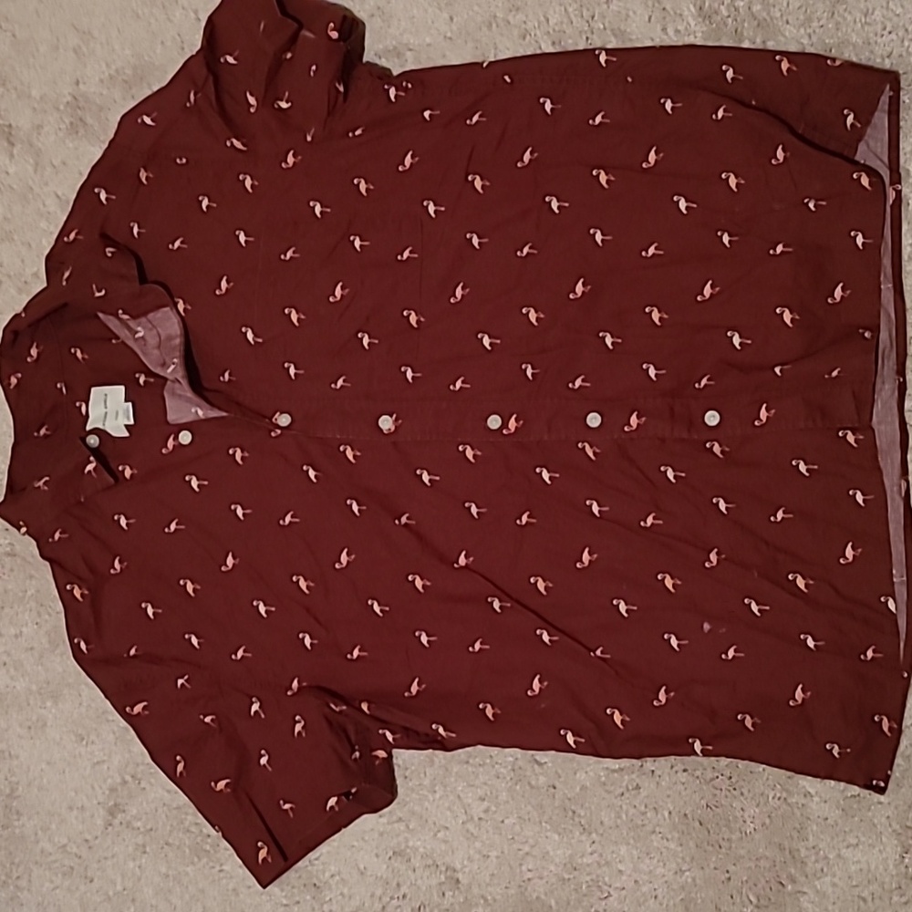 Men's AE Button-Down Shirt with Flamingos